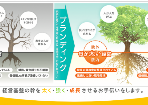 医療機関の根が細い経営と根が太い経営を医療ブランディングで改善
