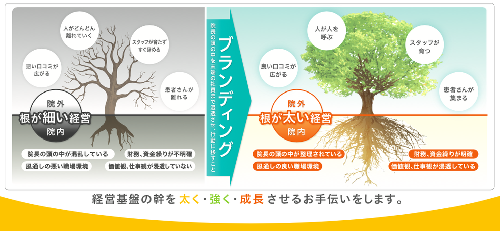 医療機関の根が細い経営と根が太い経営を医療ブランディングで改善